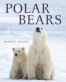 Polar Bears, Paperback / softback Book Polar Bears, Paperback / softback Book