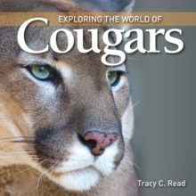 Exploring the World of Cougars, Paperback / softback Book Exploring the World of Cougars, Paperback / softback Book