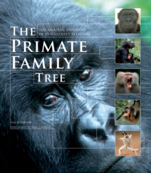 The Primate Family Tree : The Amazing Diversity of Our Closest Relatives, Paperback / softback Book The Primate Family Tree : The Amazing Diversity of Our Closest Relatives, Paperback / softback Book