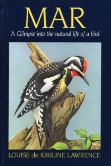 Mar : A Glimpse Into the Natural Life of a Bird