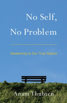 No Self, No Problem : Awakening to Our True Nature