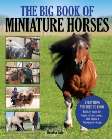 The Big Book of Miniature Horses : Everything You Need to Know to Buy, Care for, Train, Show, Breed, and Enjoy a Miniature Horse of Your Own