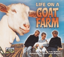 Life on a Goat Farm