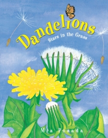 Dandelions : Stars in the Grass