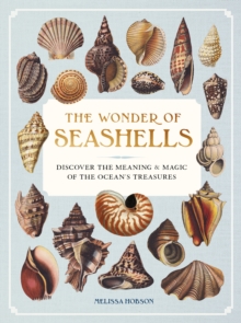 The Wonder of Seashells : Discover the Meaning & Magic of the Oceans Treasures