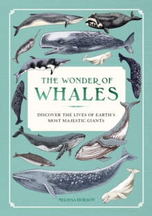 The Wonder of Whales : Discover the Lives of Earth's Most Majestic Giants
