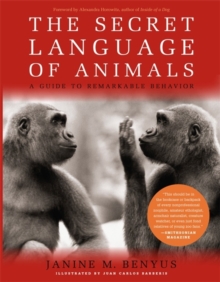 The Secret Language Of Animals : A Guide to Remarkable Behavior, Paperback / softback Book The Secret Language Of Animals : A Guide to Remarkable Behavior, Paperback / softback Book