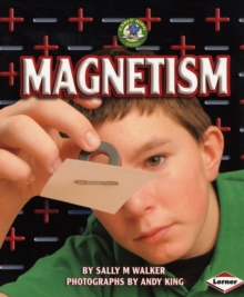 Magnetism, Paperback / softback Book Magnetism, Paperback / softback Book