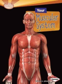 Your Muscular System, Paperback / softback Book Your Muscular System, Paperback / softback Book