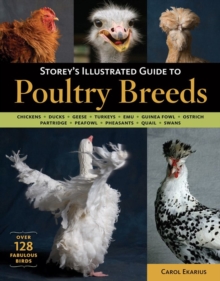 Storey's Illustrated Guide to Poultry Breeds, Paperback Book Storey's Illustrated Guide to Poultry Breeds, Paperback Book