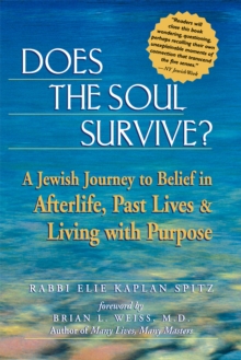 Does the Soul Survive? : A Jewish Journey to Belief in the Afterlife Past Lives and Living with Purpose