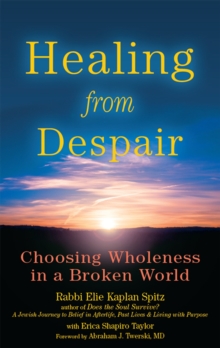 Healing from Despair : Choosing Wholeness in a Broken World