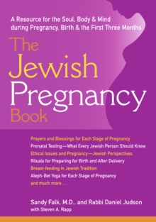 Jewish Pregnancy Book : A Resource for the Soul Body & Mind during Pregnancy Birth & the First Three Months