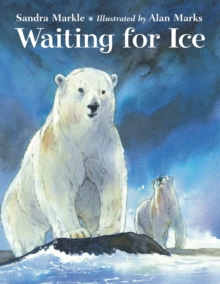 Waiting For Ice, Hardback Book Waiting For Ice, Hardback Book