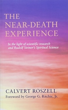 The Near-Death Experience, Paperback / softback Book The Near-Death Experience, Paperback / softback Book
