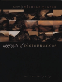 Aggregate of Disturbances