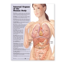 Internal Organs of the Human Body Anatomical Chart|Dorien Grey|Paperback / softback