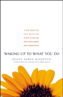 Waking Up to What You Do : A Zen Practice for Meeting Every Situation with Intelligence and Compassion