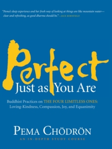 Perfect Just As You Are, CD-Audio Book Perfect Just As You Are, CD-Audio Book