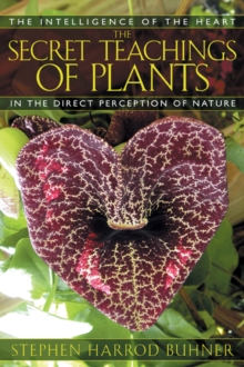 The Secret Teachings of Plants : The Intelligence of the Heart in Direct Perception to Nature, Paperback / softback Book The Secret Teachings of Plants : The Intelligence of the Heart in Direct Perception to Nature, Paperback / softback Book