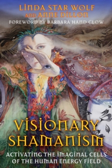 Visionary Shamanism : Activating the Imaginal Cells of the Human Energy Field