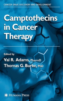 Camptothecins in Cancer Therapy