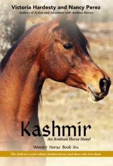 Kashmir : An Arabian Horse Novel