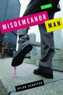 Misdemeanor Man : A Novel