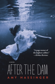 After the Dam, Paperback Book After the Dam, Paperback Book