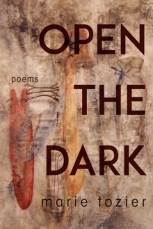 Open the Dark : Poems