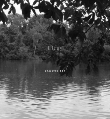 Dawoud Bey: Elegy