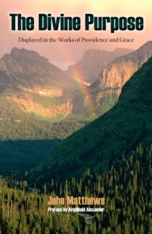 The Divine Purpose Displayed in Providence and Grace, Paperback / softback Book The Divine Purpose Displayed in Providence and Grace, Paperback / softback Book