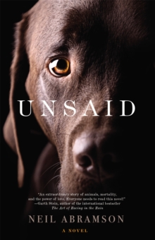 Unsaid, Paperback / softback Book Unsaid, Paperback / softback Book