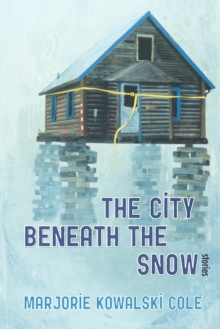 The City Beneath the Snow : Stories