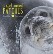 A Seal Named Patches, Hardback Book A Seal Named Patches, Hardback Book