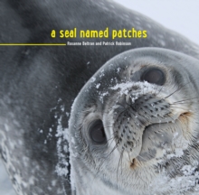 A Seal Named Patches