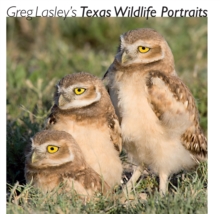 Greg Lasley's Texas Wildlife Portraits