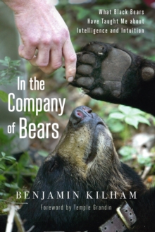 In the Company of Bears : What Black Bears Have Taught Me about Intelligence and Intuition