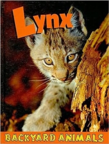 Lynx, Hardback Book Lynx, Hardback Book