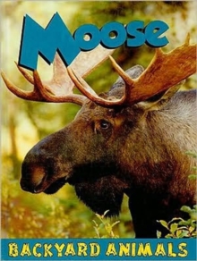 Moose, Hardback Book Moose, Hardback Book