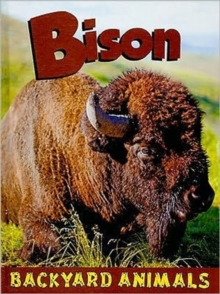 Bison, Hardback Book Bison, Hardback Book