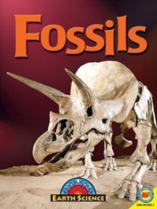 Fossils, Hardback Book Fossils, Hardback Book