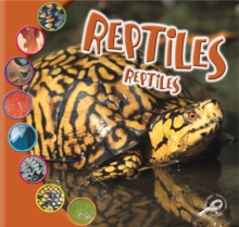 Reptiles : Reptiles