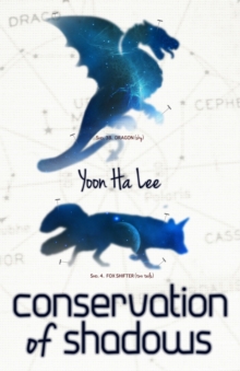 Conservation of Shadows, Paperback / softback Book Conservation of Shadows, Paperback / softback Book