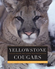 YELLOWSTONE COUGARS, Hardback Book YELLOWSTONE COUGARS, Hardback Book