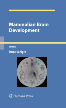 Mammalian Brain Development