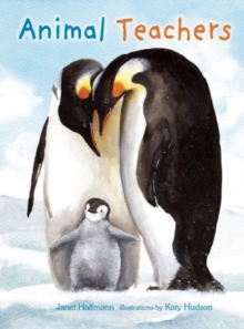 Animal Teachers, Hardback Book Animal Teachers, Hardback Book