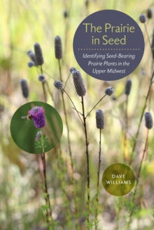 The Prairie in Seed : Identifying Seed-Bearing Prairie Plants in the Upper Midwest, Paperback / softback Book The Prairie in Seed : Identifying Seed-Bearing Prairie Plants in the Upper Midwest, Paperback / softback Book