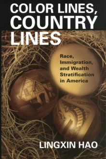 Color Lines, Country Lines : Race, Immigration, and Wealth Stratification in America