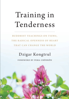 Training in Tenderness : Buddhist Teachings on Tsewa, the Radical Openness of Heart That Can Change the World